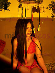 RENATA, CHICA TRANS PARA CUMPLIR TUS FANTASÍAS 8714138548 INFO SOLAMENTE WATS - FOTO 8