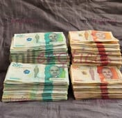 OPORTUNIDAD REAL INGRESOS DE 2M A 3M SEMANALES CUPOS ABIERTOS YA - FOTO 3