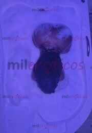 TAN DULCE COMO EL CHOCOLATE, TAN ADICTIVA COMO EL DESEO - FOTO 7