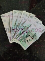 ESTAMOS BUSCANDO CHICAS, EXCELENTES INGRESOS DIARIOS - FOTO 1