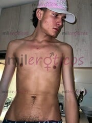 POLLO, VERGÓN, MACHO DISPONIBLE LAS 24 HORAS - FOTO 1