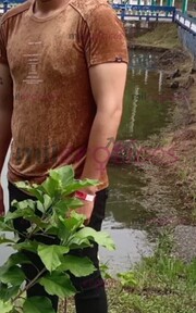 HOLA MUCHO GUSTO SOY DANIEL SOY ACTIVO ME GUSTA MUCHO EL SEXO - FOTO 7