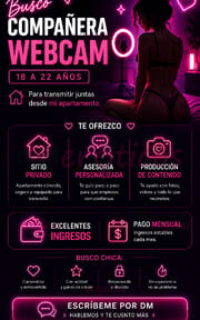 BUSCO COMPAÑERA WEBCAM PARA TRASMITIR DESDE APARTAMENTO - FOTO 3