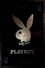 AGENCIA ABRE CONVOCATORIAS! HAZ PARTE DE LA CASA CONEJITAS PLAY BOY - FOTO 2