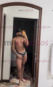 POLLO ACTIVO VERGON SERIO DISCRETO Y LECHERO - FOTO 10
