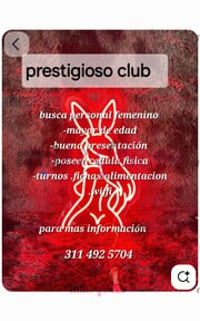 CLUB CONEJITAS V.I.P BUSCA CHICAS TURNOS FICHAS .ALIMENTACIÓN. VIVIENDA .WIFFI - FOTO 4