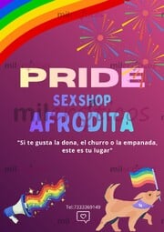 VENTA DE ARTÍCULOS DE SEX SHOP PARA TODO TIPO DE GUSTOS HOMBRES Y MUJERES SOLTER - FOTO 1