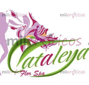 ESTAS BUSCANDO LAS MEJORES PAISAS. AL MEJOR PRECIO. SPA EN LAURELES - FOTO 9