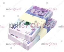 BUSCAS TRABAJO EN LUGAR ESTABLE, BUENOS INGRESOS Y TOTAL DISCRECION. - FOTO 3