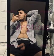 LLEGÓ ESTE MORRITO , CALIENTE LISTO PARA PARA SER DESLECHADO - FOTO 1