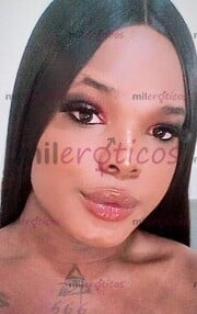 VERGA NEGRA XL PARA PRINCIPIANTES Y PERRAS TRAGONAS CON TRANFORMISMO - FOTO 4