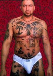 MACHO COSTARRICENSE MADURO, DOTADO Y POTENTE. - FOTO 8