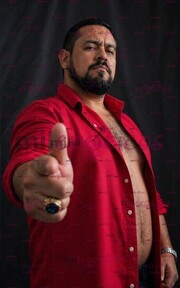 MACHO PELUDO COGELÓN EXCELENTE AMANTE PARA HOMBRES MADUROS CASADOS PRIMERIZOS - FOTO 9