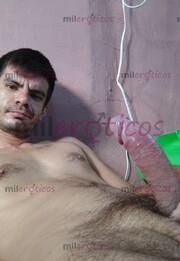 VATO ACTIVO 20 CM DISPONIBLE PARA COMPLACER, SEPARADO - FOTO 2