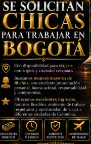 OFERTA DE TRABAJO, AGENCIA DE ALTO NIVEL SOLICITA SCORT - FOTO 3