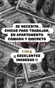 VEN Y TRABAJA CON NOSOTROS TE BRIENDAMOS VIVIENDA - FOTO 10