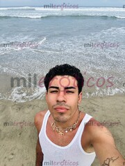 SOY VERSÁTIL Y SUMISO, DE BUEN CUERPO Y AGUANTADOR - FOTO 3