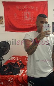 NUEVO EN TU CIUDAD POLLO COMPLACIENTE VERSÁTIL - FOTO 7