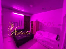 ¡VEN A IBAGUÉ POR TEMPORADA! VIVIENDA TRABAJO EXCELENTES INGRESOS - FOTO 7