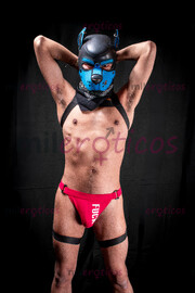 CACHORRO DE COMPAÑÍA EN CELO, COMPLACIENTE BDSM INTER. - FOTO 6