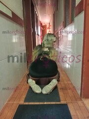 MONA , CARIÑOSAS , CON NALGAS GRANDES, Y MIS SENOS RICO PARA CHUPARLOS. - FOTO 1