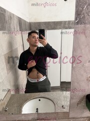 PUERTO ESCONDIDO MACHO PREÑADOR DE CULOS 20CM DISPONIBLE SOLO POR UNOS DÍAS - FOTO 3