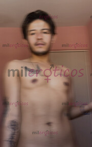 CHAPARRITO MORENITO NUEVO EN LA PÁGINA Y EN EL AMBIENTE - FOTO 8