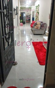 CONFOR PERRESIMAS ACTIVA CONTACTANOS AL WHATSAPP ELEGANTE ESCORTS - FOTO 10