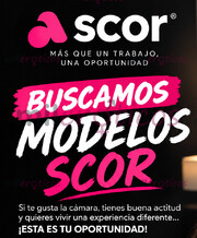 SE BUSCAN DAMAS DE COMPAÑÍA COMO SCOR SOLO CLIENTE EXCLUSIVO - FOTO 9