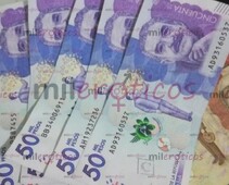 SE SOLICITAN CHICAS CON GANAS DE GENERAR INGRESOS - FOTO 1