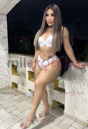 TU SUEÑO HECHO REALIDAD ,TU TRAN FAVORITA - FOTO 2