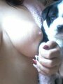 Ama busca perros a los que adiestrar, utilizar y humillar