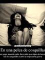 Atrevidas cosquillas locas super intensas
