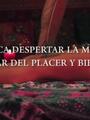 Masaje siaita o masaje yani para mujeres solo mujeres
