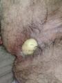 Mi culo es gratis, no cobro, hago de todo, desde oral, anal, fisting o cumplir f