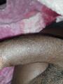 Busco mujeres para sexo gratis sin compromiso sin ningun coste