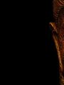 Massaggi Tantra in appartamento privato Per lui & lei Forlì