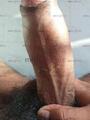 Si buscas un buen servicio y satisfacer tus fantasías soy el indicado