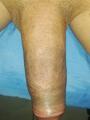 Prepago vergóna herramienta full erección en Saldaña viaja por mi leche toda