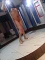 Danielascort yo te contesto 4431626950.24 hrs 7 dias de la semana