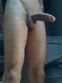 FOTOS DE 3177177765 APTO 24.7 VIVO SOLO VERGON AGUANTADOR PARCHADO MACHO LECHERO WHATSAPP