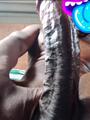 Vergon negro bien dotado lechero full arrecho solo chicas solo mujeres