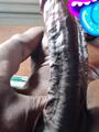 FOTOS DE NEGRO FOLLADOR FULL LECHERO POTENTE BUENA VERGA SOLO CHICAS NO MAS SOLO MUJE