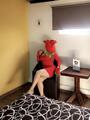 Brenda madurita vip, la mejor, fotos reales, soy la que llega