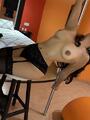 FOTOS DE BRISA, ESCORT INDEPENDIENTE,NO BUSQUESMAS COGEME 5549714295,SERVICIOS ESPECIALES