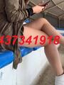 Independiente cel 4437341918 una hora 650 con taxi