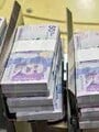 FOTOS DE BUSCAMOS CHICAS LINDAS ENTRE 18 Y 40 AÑOS PARA DAMA DE COMPAÑIA ( PAGO DIARIO)