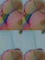 Super fiestera disponible promoción súper fiestera amor promoción