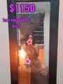 FOTOS DE $$SOY VANNY $1150 TAXI INCLUÍDO ORAL PROFUNDO AL NATURAL SEXO ILIMITADO$$