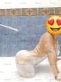 FOTOS DE DOMI MADU)RITA ARRECHA Y MORBOSA SQUIRT TODA MOJADITA D